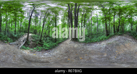 360 Grad Panorama Ansicht von Wald, Park, Moskau Bitza