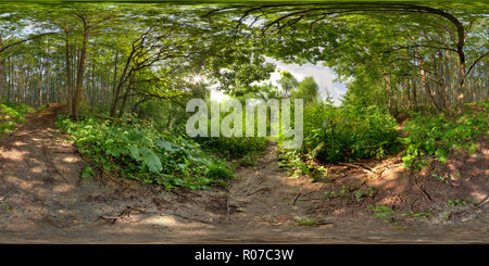 360 Grad Panorama Ansicht von Bitza Park, Moskau