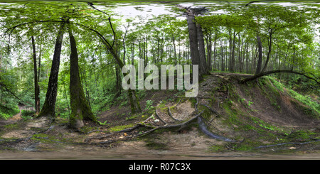 360 Grad Panorama Ansicht von Bitza Park, Moskau