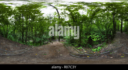 360 Grad Panorama Ansicht von Bitza Park, Moskau