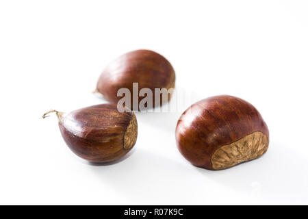 Raw Kastanien auf weißem Hintergrund Stockfoto