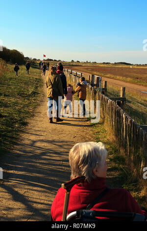 Besucher in Donna Nook der Graue Dichtungen an der Geburt Zeit auf der Küste von Lincolnshire UK zu sehen Stockfoto