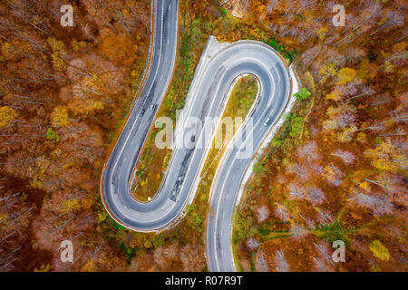 Gebogene malerische Straße durch einen Wald Mitte Herbst Stockfoto