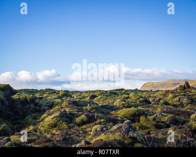 Lavafelder in Skaftareldahraun, Island Stockfoto