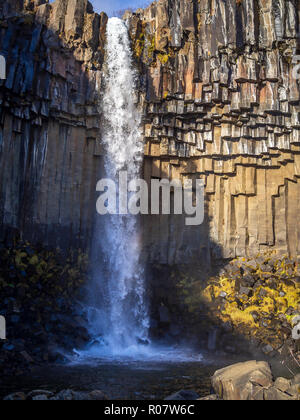 Svartifoss Wasserfall in Island Stockfoto