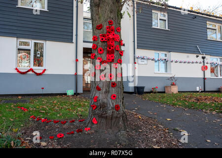 Poppy Straße 1. bis 11. November 2018. Eine Erinnerung Tribut von einer Generation zur anderen, Aldridge, Walsall, Großbritannien Stockfoto