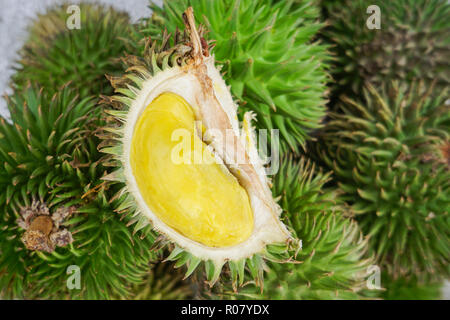 Geschälte Gelbe durian Durian Sukang genannt, die in den Dschungel von Borneo. Stockfoto