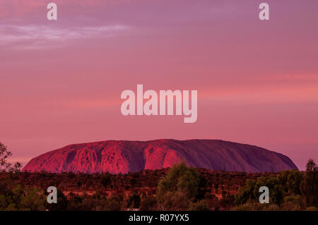 OUTBACK, AUSTRALIEN - 30. APRIL 2009: rot-lila Uluru, Ayers Rock bei Sonnenuntergang - eines der UNESCO-Welterbe Stockfoto