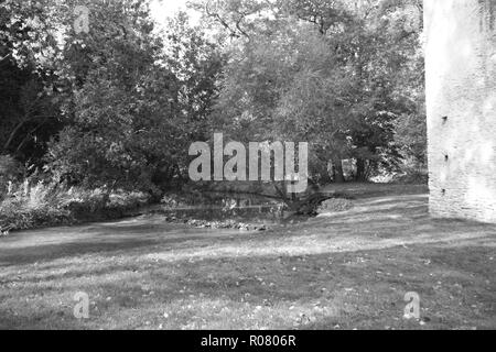 Die ruhigen Fluss Windrush Stockfoto