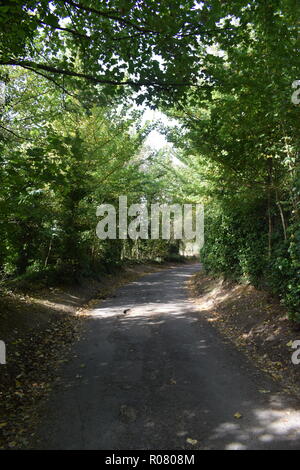 Natur fallen weg zum Minister Lovell Stockfoto