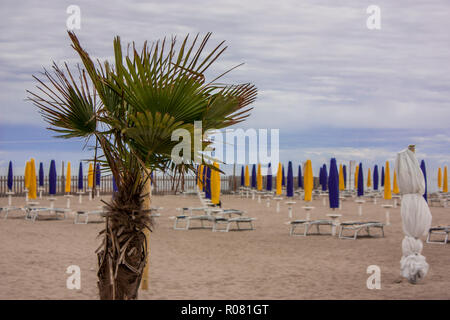 Palme in den Vordergrund mit hinter die Verkürzung eines italienischen Beach Resort geschlossen in der Nebensaison mit schlechtem Wetter. Stockfoto