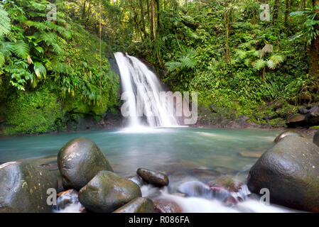 Die meisten berühmten touristischen auf Guadeloupe, French West Indies, 'Cascade aux ecrevisses crawfishes" (Wasserfall). Stockfoto