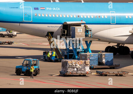 AMSTERDAM - Sep 9, 2012: KLM Airbus A330 Airliner mit Luftfracht am Amsterdamer Flughafen Schiphol International Airport geladen wird. Stockfoto