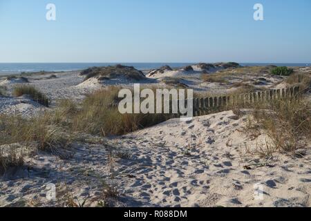 Die malerische Landschaft mit den Sanddünen von Portugal Stockfoto