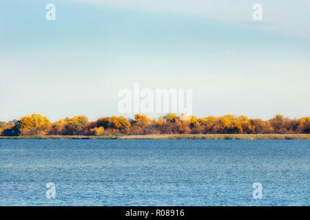 Das Bild der Herbst Küste mit gelben Bäume in der Nähe des großen Flusses Stockfoto