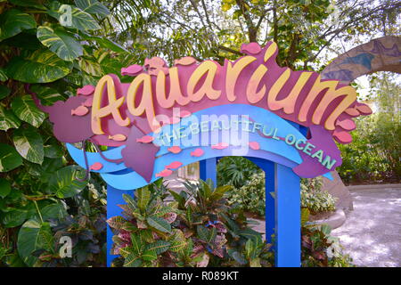 Orlando, Florida. Oktober 19, 2018 Aquarium Zeichen auf grünem Wald Hintergrund bei Marine Theme Park. Stockfoto