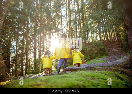 Mutter und Kinder gingen in den Wald nach Pilzen. Alles in gelben Jacken. Der Ukraine, den Karpaten. September 25, 2018. Stockfoto