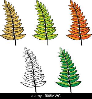Der Vektor verzweigt. Hand gezeichnet Äste mit grünen, orangenen Blätter auf weißem Hintergrund. design Elements verlässt Dekoration Stock Vektor