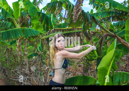 Junge Mädchen im Bikini Angst nimmt Bananen von der Palme. Bananenplantage in Samana, Dominikanische Republik Stockfoto