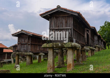 Galizische hórreo Bau von landwirtschaftlichen Gebrauch bestimmt zu trocknen, Heilung und Speichern von Mais und anderen Getreidearten sehr typisch in Galicien Spanien Stockfoto