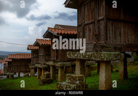 Galizische hórreo Bau von landwirtschaftlichen Gebrauch bestimmt zu trocknen, Heilung und Speichern von Mais und anderen Getreidearten sehr typisch in Galicien Spanien Stockfoto