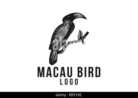 Hand gezeichnet, Papagei oder Ara vogel Logo Designs Inspiration isoliert auf weißem Hintergrund Stock Vektor