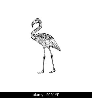 Stork, Flamingo Logo Design Inspiration Stock Vektor