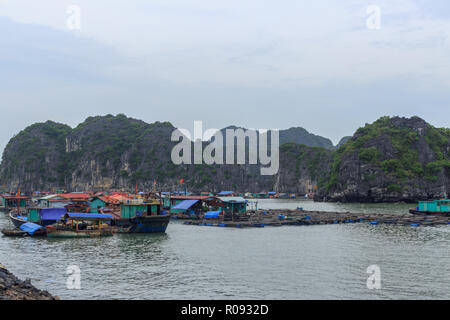 Blick über die Bucht der Insel Cat Ba, Ha Long Bay, Vietnam Stockfoto