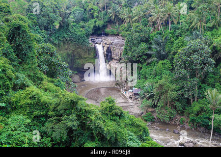 Wasserfall, Asien Insel Bali, dem höchsten Wasserfall im Dschungel Stockfoto