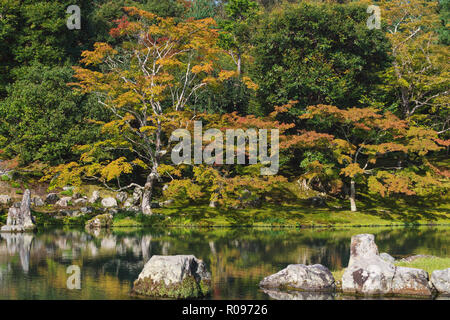 Der Herbst kommt, bunte Bäume Jahreszeit in Ginkaku-ji Tempel, berühmten Reiseziel in Kyoto, Japan Stockfoto