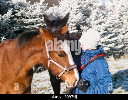 Junges Mädchen mit zwei Fohlen auf der Weide Stockfoto