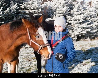 Junges Mädchen mit zwei Fohlen auf der Weide im Winter Stockfoto