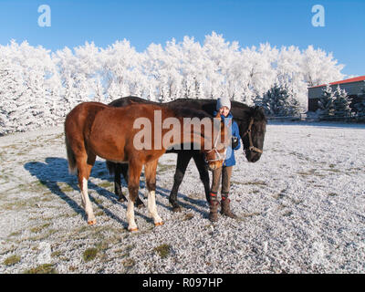 Portrait von Mädchen in der blauen Jacke mit Fohlen auf frostige Weiden Stockfoto