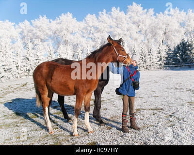 Junges Mädchen mit zwei Fohlen auf frostige Weiden im Winter Stockfoto