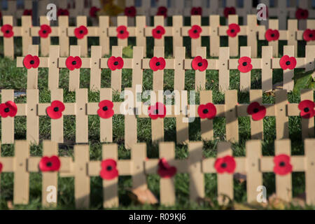 London, Großbritannien. 3. November, 2018. Das Feld der Erinnerung an die Westminster Abbey ist markiert und kann durch einzelne Kreuze im Laufe der nächsten Woche gefüllt werden. Credit: Guy Bell/Alamy leben Nachrichten Stockfoto