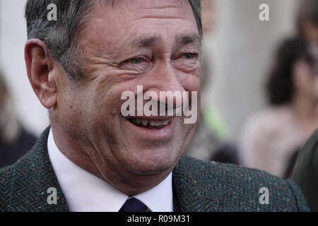 Westminster, London, W1, UK. 3. November, 2018. Alan Titchmarsh, Berühmtheit Richter am Concourse d'Elegance, an der Illinois Route 66 gesponsert, Regent Street Motor Show, Westminster, London, UK Credit: Motofoto/Alamy leben Nachrichten Stockfoto