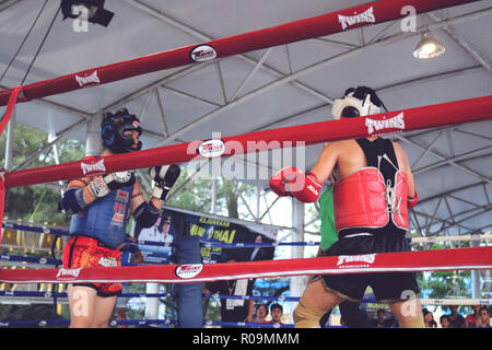 Makassar, Indonesien. 3. November, 2018. Der Muay Thai Meisterschaft in der Stadt Makassar für die Trophäe des Bürgermeisters von Makassar, Samstag, 3. November 2018 teilgenommen. Die Meisterschaft wurde von professionellen Muay Thai Athleten von der Stadt Makassar, Südsulawesi Credit: Herwin Bahar/Alamy Live News besucht Stockfoto