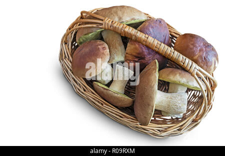 Pilze Steinpilze in einem Korb, auf einem weißen Hintergrund. Stockfoto