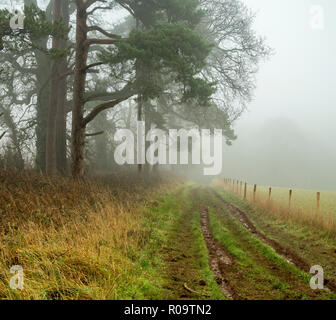 Ausgefahrenen Feldweg auf einem nebligen Morgen führende Stockfoto