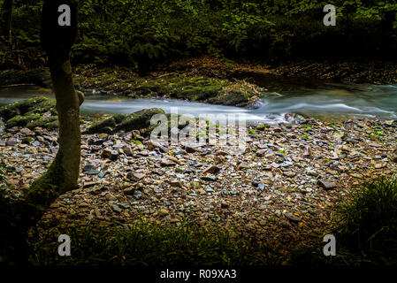 Fließend Wasser langsam fließenden Fluss Exposition in der Schale Holz Bodmin Moor Cornwall Stockfoto