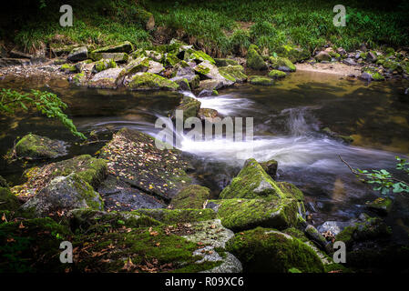 Fließend Wasser langsam fließenden Fluss Exposition in der Schale Holz Bodmin Moor Cornwall Stockfoto