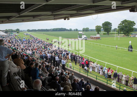 Massen von Zuschauern sehen Sie sich ein Pferd Rennen in Thirsk Pferderennbahn in North Yorkshire von der Tribüne und Gehäuse Stockfoto