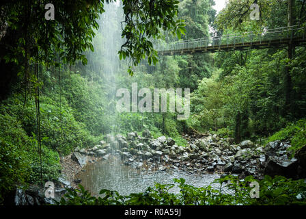 Sicht von hinter der gläsernen Dusche cascading Wasserfall in einen Pool unten in Dorrigo Nationalpark, NSW, Australien. Stockfoto