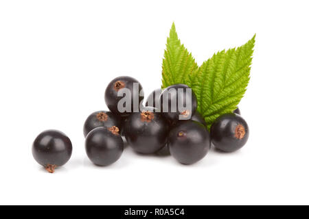Beeren eines schwarze Johannisbeere mit Blatt auf weißem Hintergrund Stockfoto