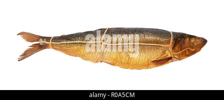 Golden geräucherter Hering Fisch auf einem weissem Hintergrund Stockfoto