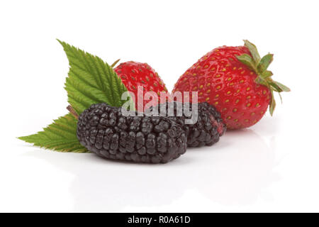 Erdbeeren und Mulberry auf weißem Hintergrund Stockfoto