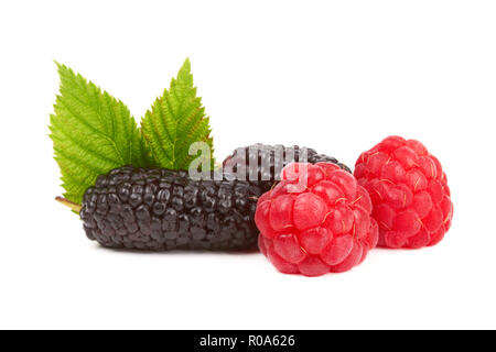 Frische Beeren: Himbeeren, Maulbeeren auf weißem Hintergrund Stockfoto