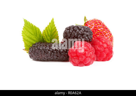 Erdbeeren, Himbeeren und Mulberry auf weißem Hintergrund Stockfoto