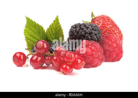 Erdbeeren, Johannisbeeren, Himbeeren und Mulberry auf weißem Hintergrund Stockfoto