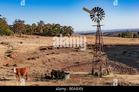 Australien Bauernhof mit kein Wasser. Dam ist völlig leer und jetzt Regen Stockfoto